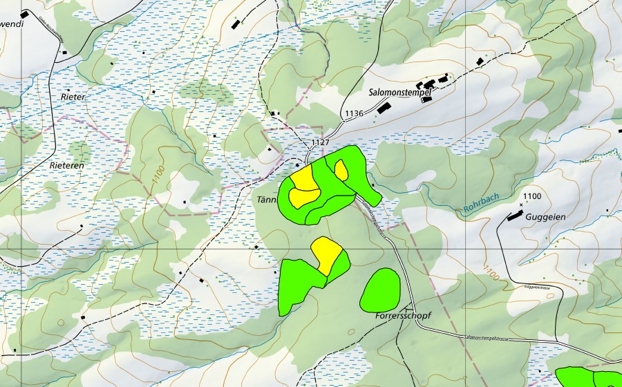 Carte nationale swisstopo avec le périmètre protégé de Salomonstempel (Haut-marais)