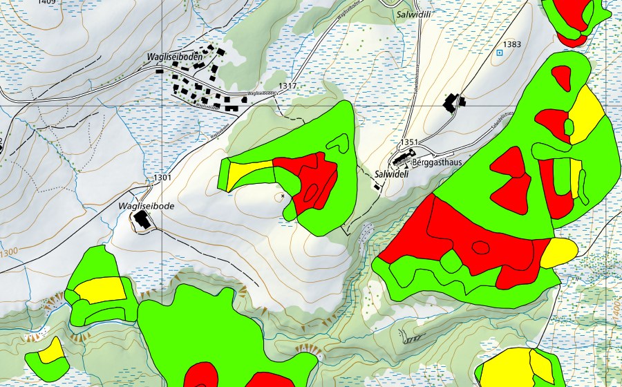 Landeskarte swisstopo mit dem Schutzperimeter von Salwidili (Hochmoor)