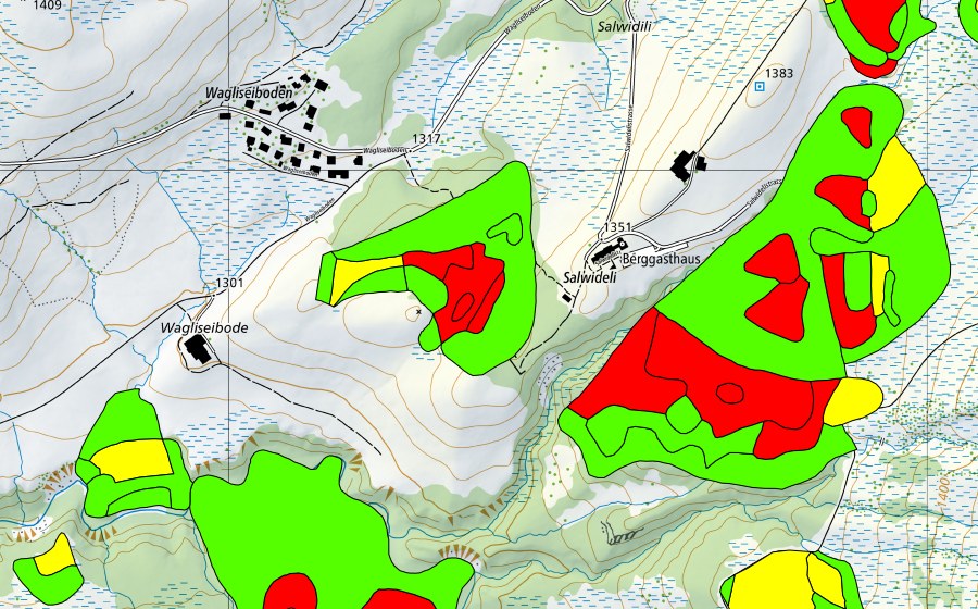 Carte nationale swisstopo avec le périmètre protégé de Salwidili (Haut-marais)