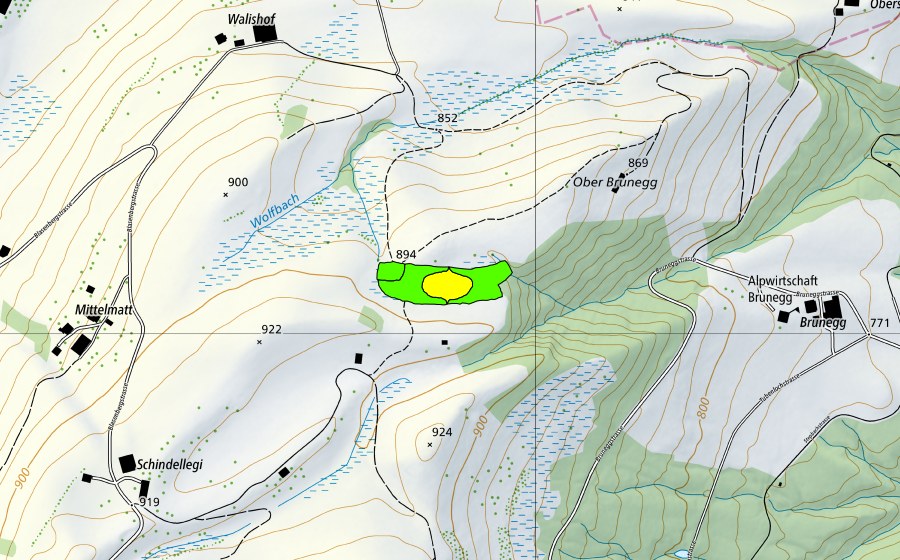 Carte nationale swisstopo avec le périmètre protégé de Schindellegi (Haut-marais)
