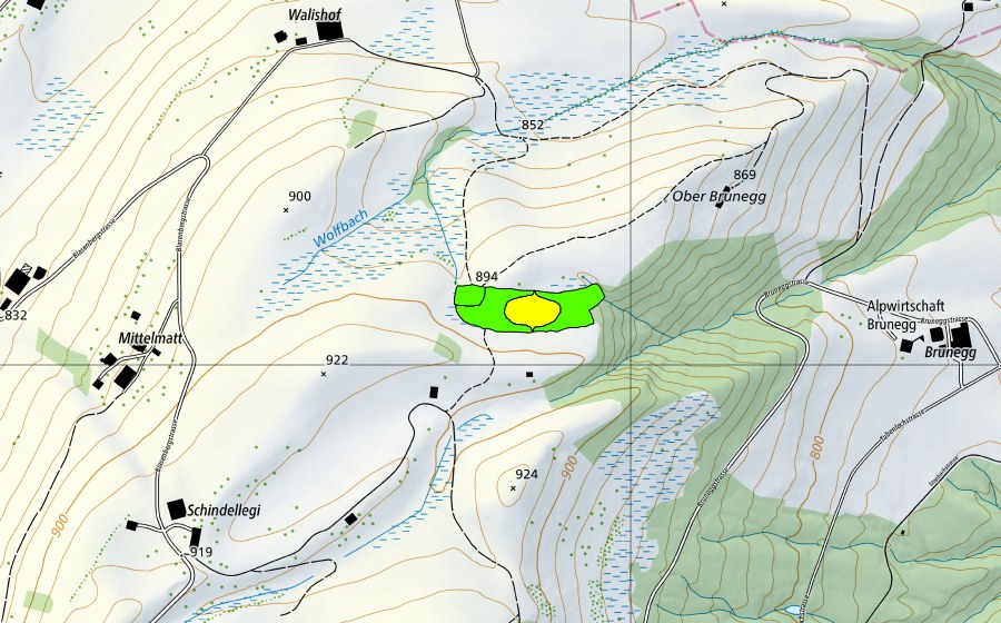 swisstopo national map showing the protected perimeter of Schindellegi (Raised bog)