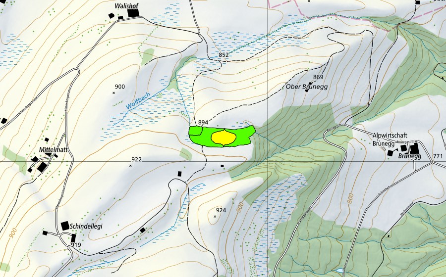 Carte nationale swisstopo avec le périmètre protégé de Schindellegi (Haut-marais)