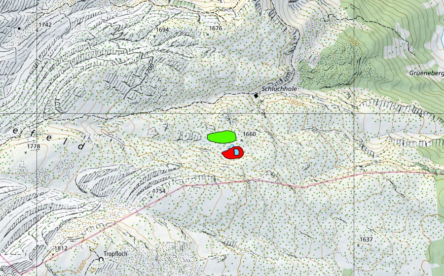Carte nationale swisstopo avec le périmètre protégé de Schluchhole (Haut-marais)