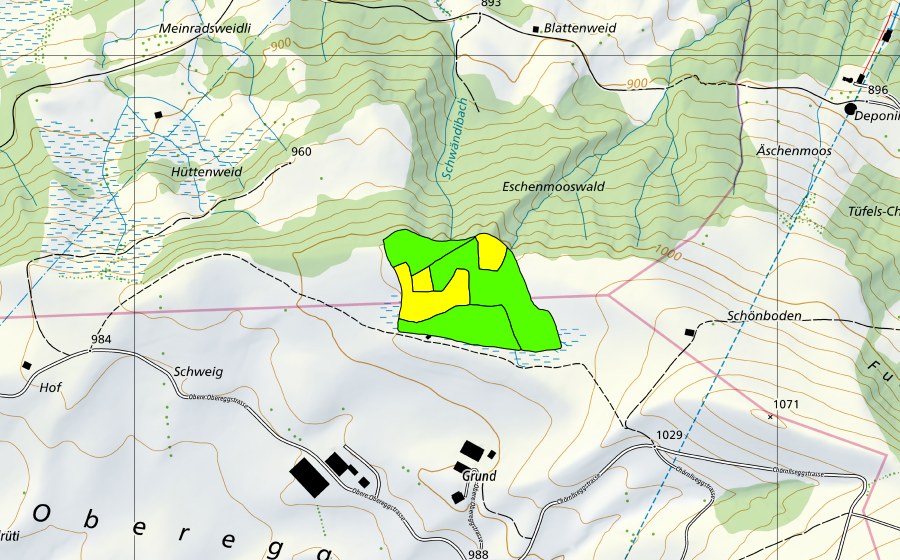 swisstopo national map showing the protected perimeter of Schönboden (Raised bog)