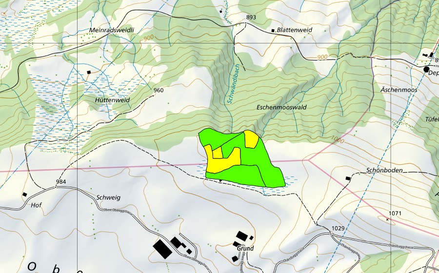 Carte nationale swisstopo avec le périmètre protégé de Schönboden (Haut-marais)