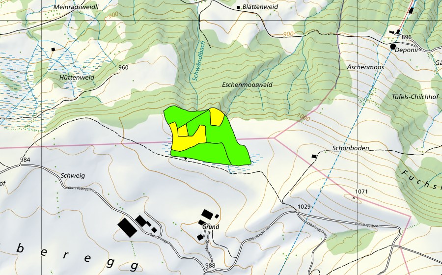 Carte nationale swisstopo avec le périmètre protégé de Schönboden (Haut-marais)