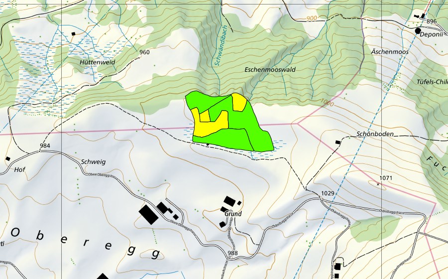 swisstopo national map showing the protected perimeter of Schönboden (Raised bog)