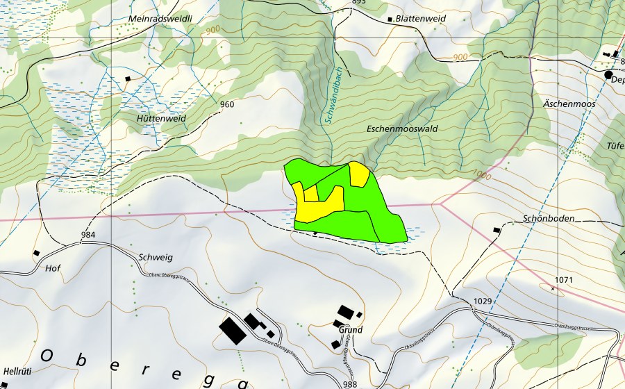 Carte nationale swisstopo avec le périmètre protégé de Schönboden (Haut-marais)