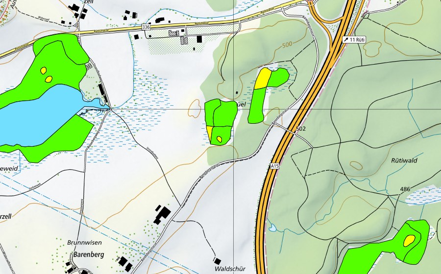 Landeskarte swisstopo mit dem Schutzperimeter von Schönbühl (Hochmoor)