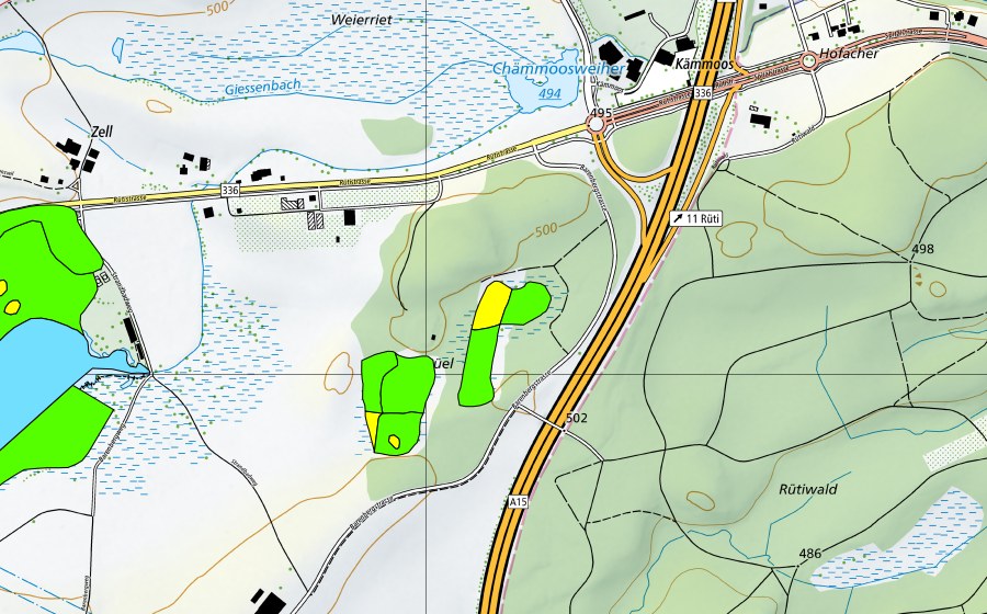 swisstopo national map showing the protected perimeter of Schönbühl (Raised bog)