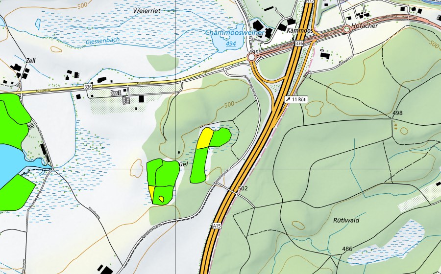 Carte nationale swisstopo avec le périmètre protégé de Schönbühl (Haut-marais)