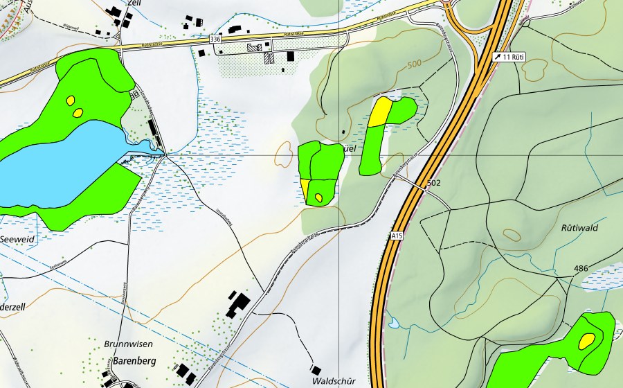 swisstopo national map showing the protected perimeter of Schönbühl (Raised bog)