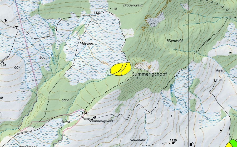 Carte nationale swisstopo avec le périmètre protégé de Schönenboden/Sommerigchopf (Haut-marais)