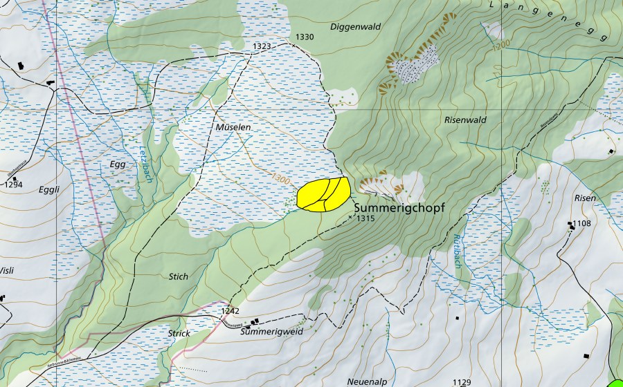 swisstopo national map showing the protected perimeter of Schönenboden/Sommerigchopf (Raised bog)