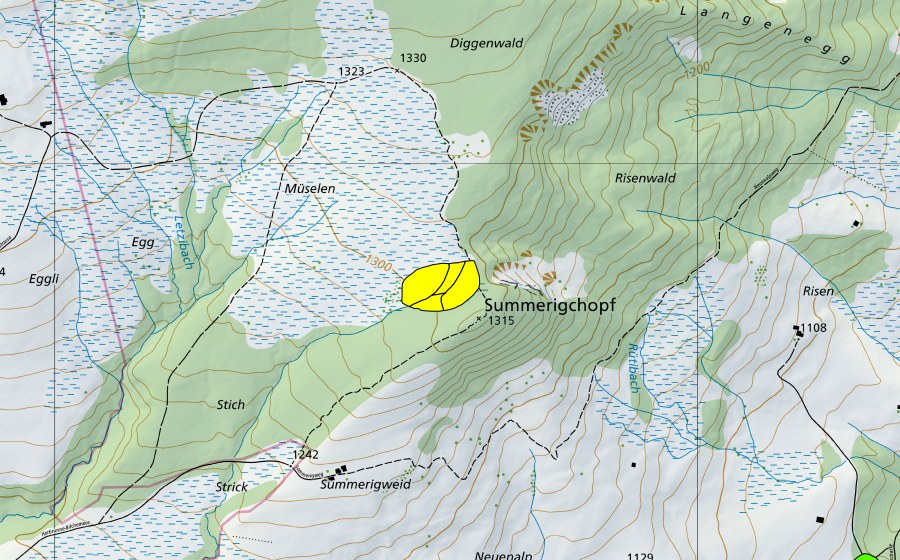 swisstopo national map showing the protected perimeter of Schönenboden/Sommerigchopf (Raised bog)