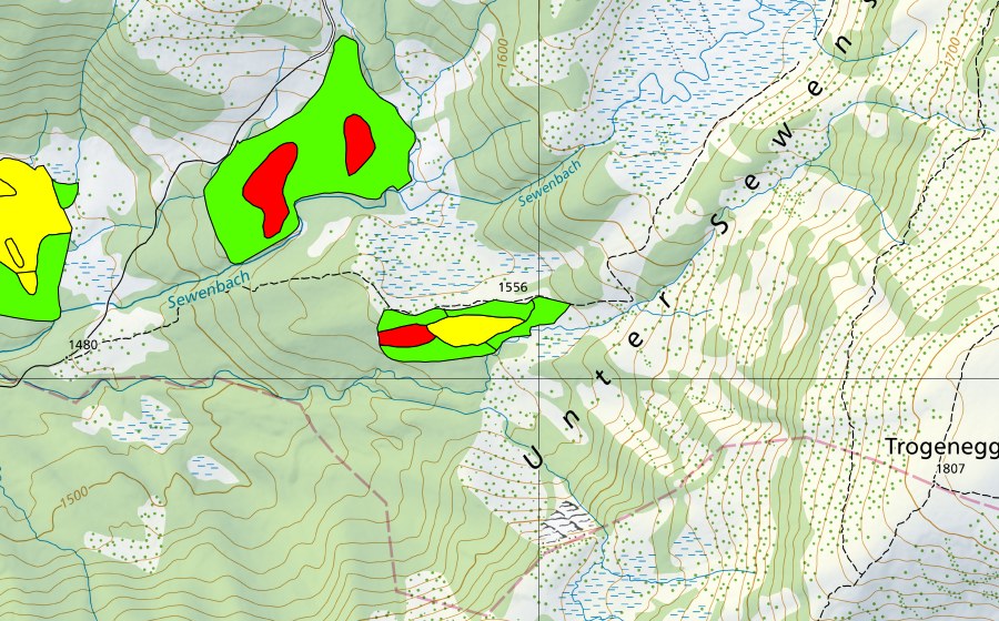 Carte nationale swisstopo avec le périmètre protégé de Schwand (Haut-marais)