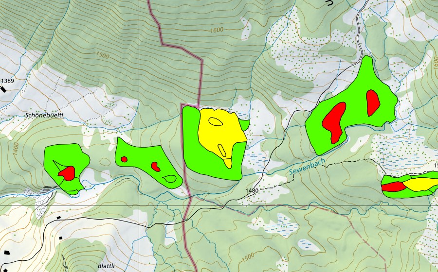 Landeskarte swisstopo mit dem Schutzperimeter von Schwand (Hochmoor)
