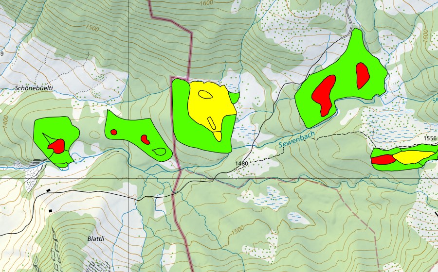 Carte nationale swisstopo avec le périmètre protégé de Schwand (Haut-marais)