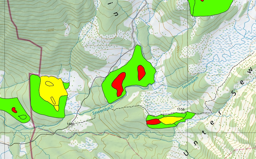 Carte nationale swisstopo avec le périmètre protégé de Schwand (Haut-marais)