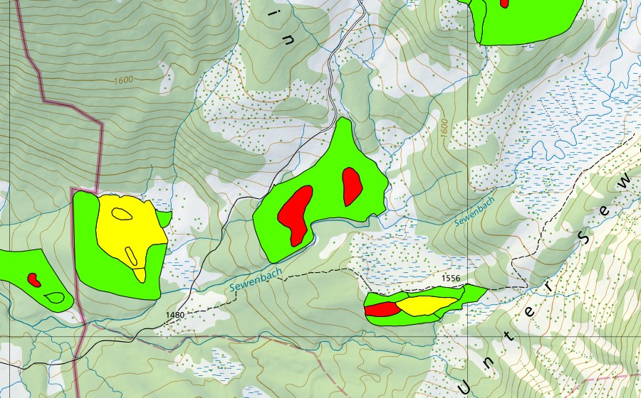 swisstopo national map showing the protected perimeter of Schwand (Raised bog)