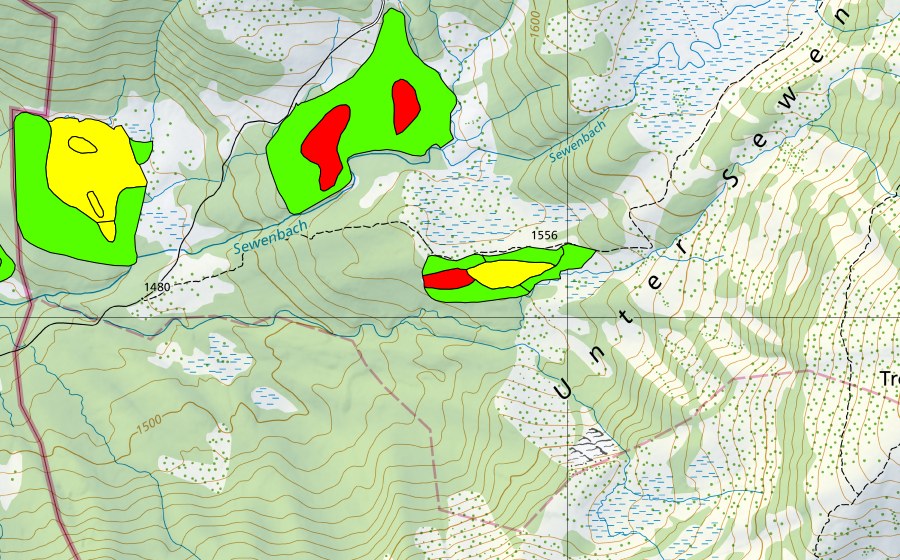 Carte nationale swisstopo avec le périmètre protégé de Schwand (Haut-marais)