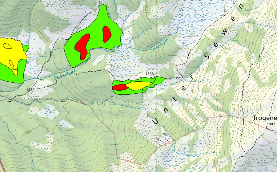 swisstopo national map showing the protected perimeter of Schwand (Raised bog)