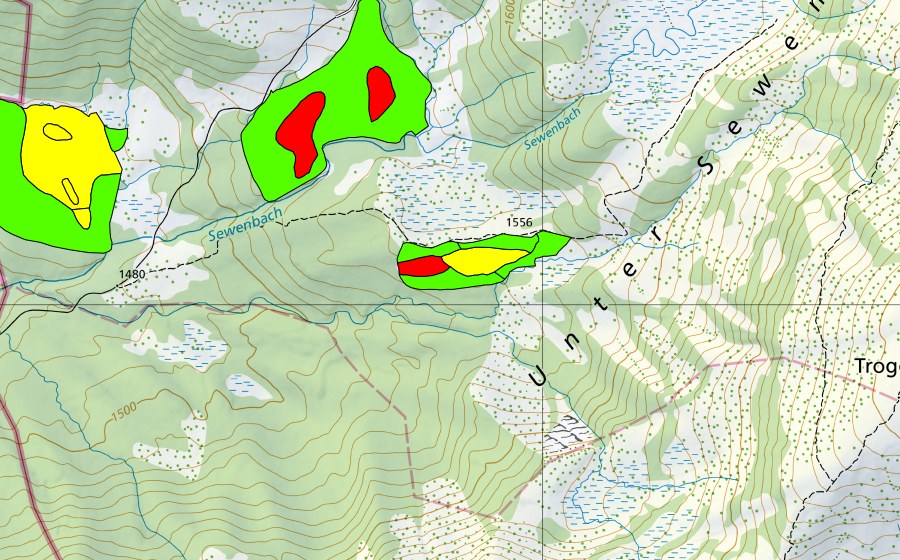 Landeskarte swisstopo mit dem Schutzperimeter von Schwand (Hochmoor)
