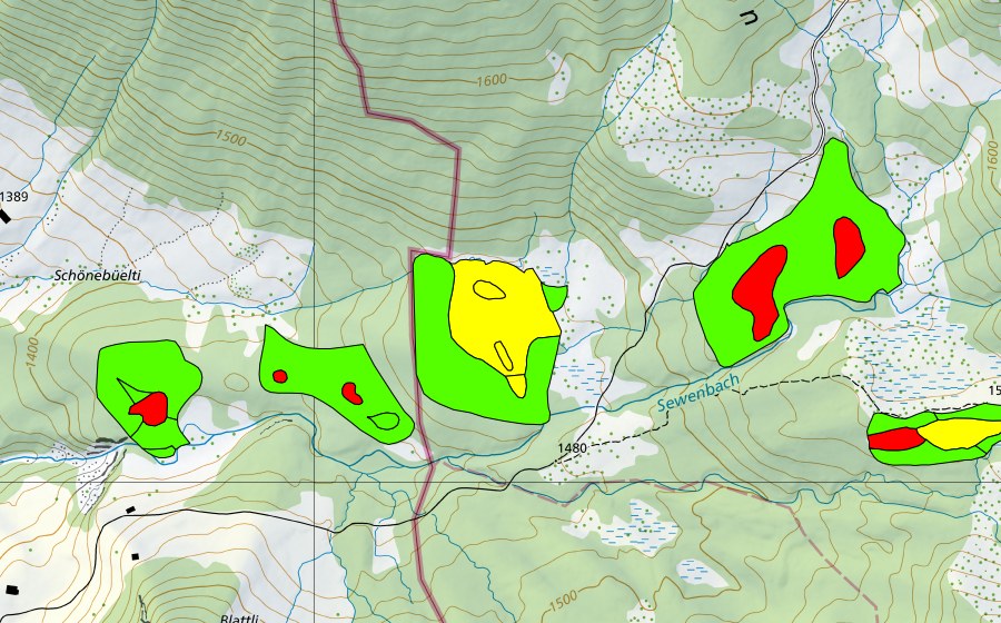 swisstopo national map showing the protected perimeter of Schwand (Raised bog)