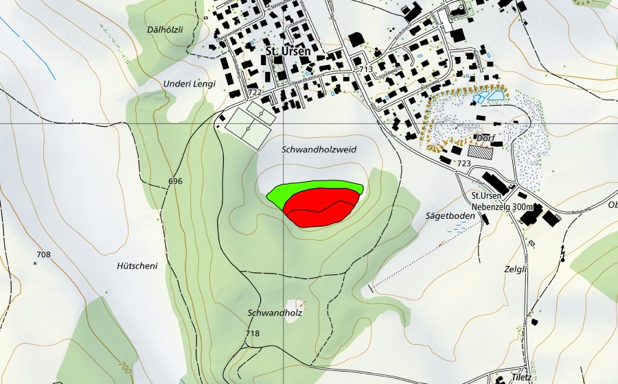 swisstopo national map showing the protected perimeter of Schwandholz (Raised bog)