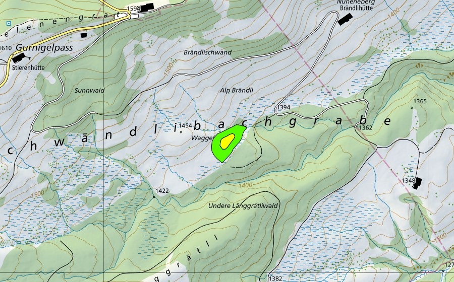 swisstopo national map showing the protected perimeter of Schwändlibachgraben (Raised bog)
