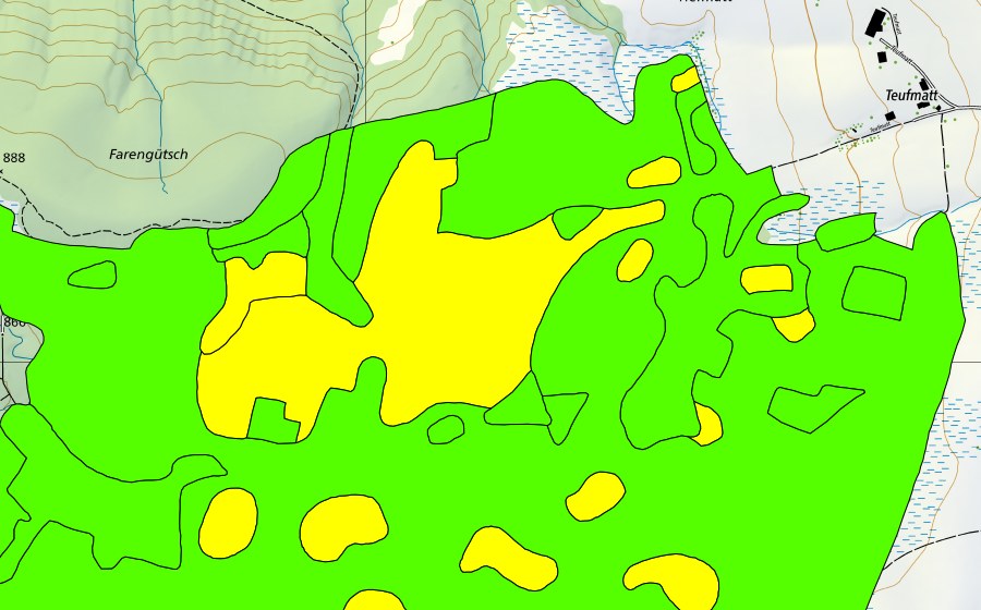 Carte nationale swisstopo avec le périmètre protégé de Schwantenau (Haut-marais)