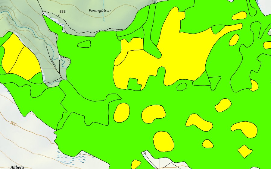 Carte nationale swisstopo avec le périmètre protégé de Schwantenau (Haut-marais)