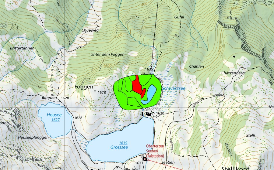 Carte nationale swisstopo avec le périmètre protégé de Schwarzsee (Haut-marais)