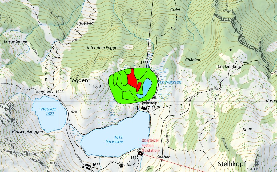 Landeskarte swisstopo mit dem Schutzperimeter von Schwarzsee (Hochmoor)