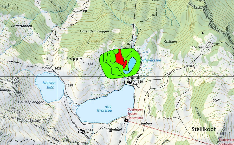 Carte nationale swisstopo avec le périmètre protégé de Schwarzsee (Haut-marais)