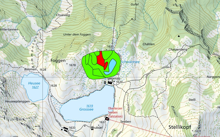 swisstopo national map showing the protected perimeter of Schwarzsee (Raised bog)