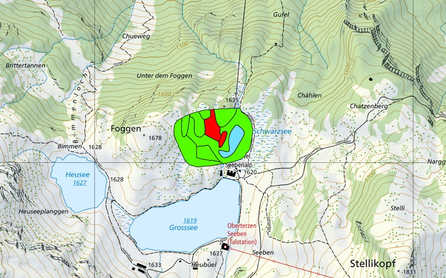 swisstopo national map showing the protected perimeter of Schwarzsee (Raised bog)