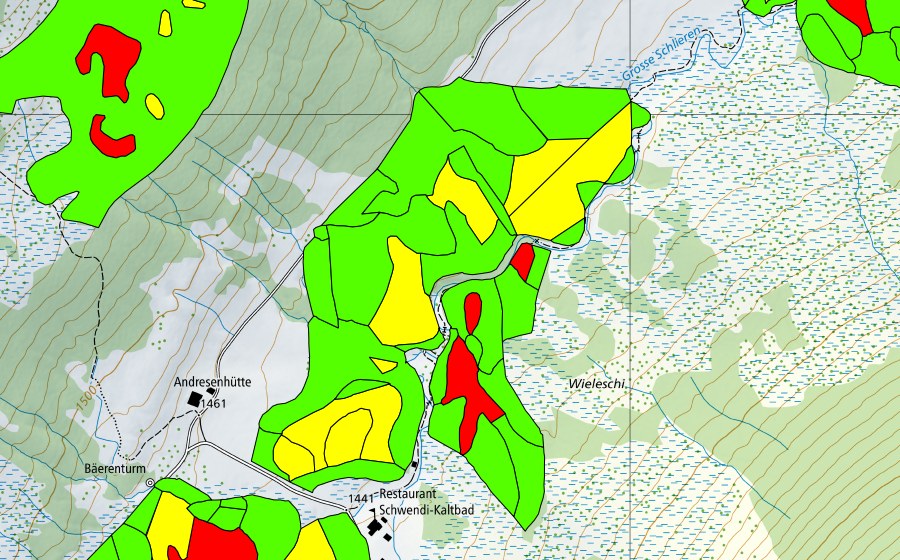 Carte nationale swisstopo avec le périmètre protégé de Schwendi Kaltbad (Haut-marais)
