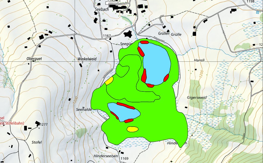 Landeskarte swisstopo mit dem Schutzperimeter von Schwendiseen (Hochmoor)