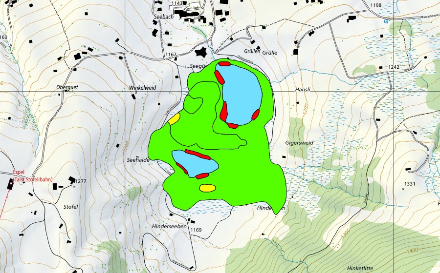 Carte nationale swisstopo avec le périmètre protégé de Schwendiseen (Haut-marais)