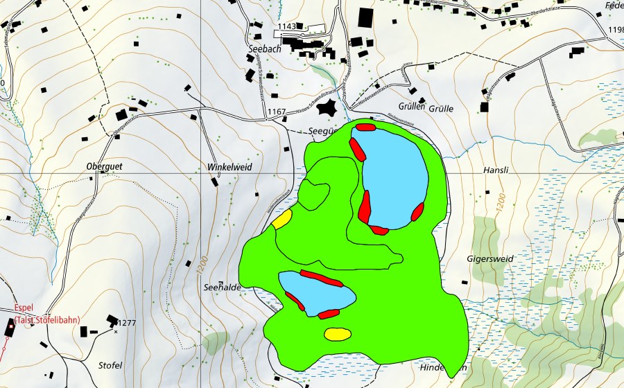 Landeskarte swisstopo mit dem Schutzperimeter von Schwendiseen (Hochmoor)