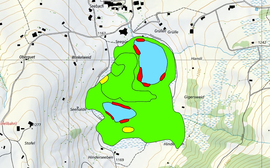 swisstopo national map showing the protected perimeter of Schwendiseen (Raised bog)