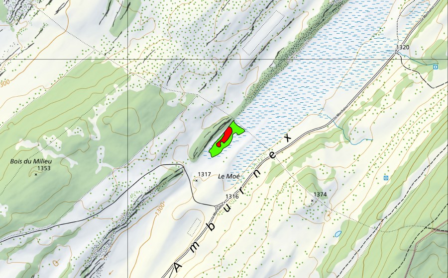 Landeskarte swisstopo mit dem Schutzperimeter von Sèche de Gimel (Hochmoor)