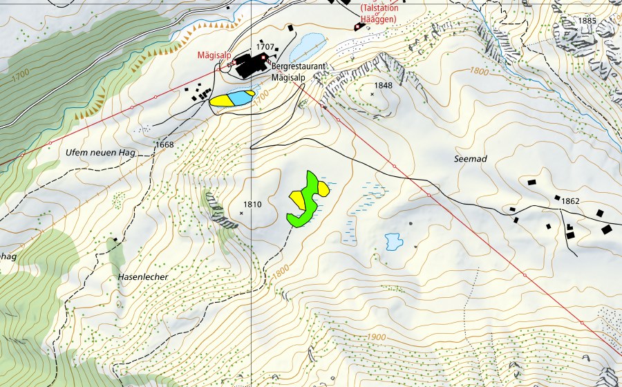Landeskarte swisstopo mit dem Schutzperimeter von Seelein bei der Mägisalp/Seemad (Hochmoor)