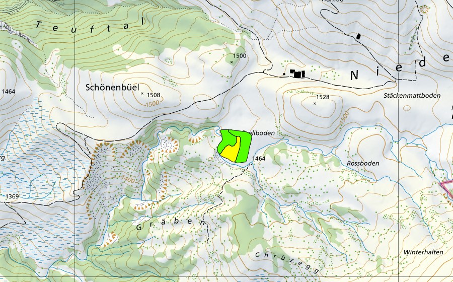 Carte nationale swisstopo avec le périmètre protégé de Seeliboden im Choltal (Haut-marais)