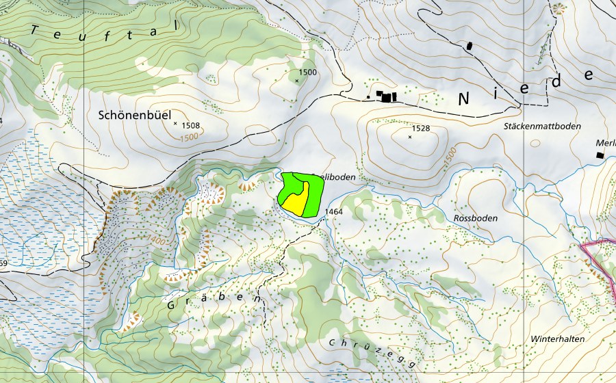 Carta nazionale swisstopo con il perimetro protetto di Seeliboden im Choltal (Torbiera alta)