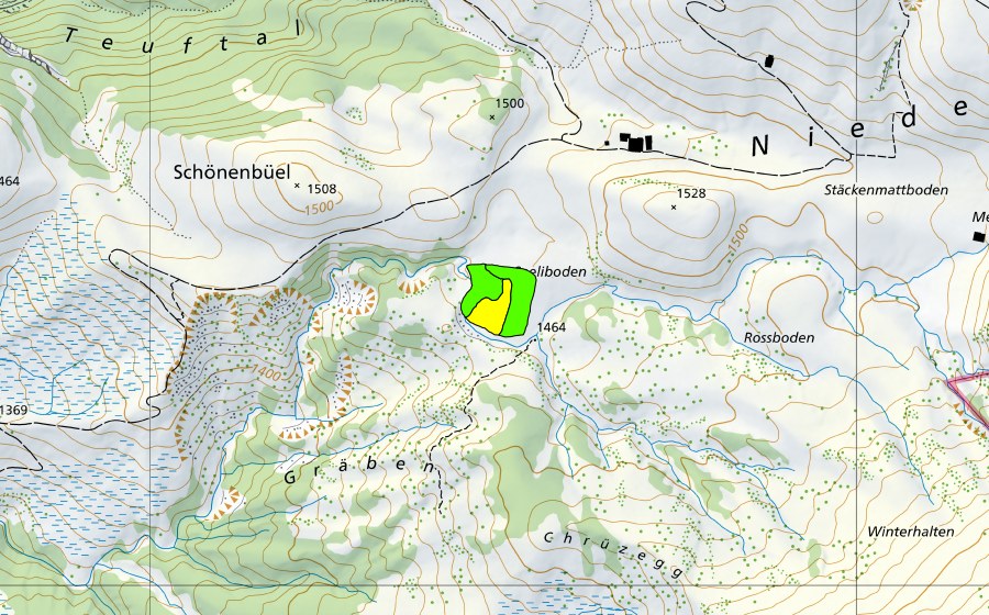 Landeskarte swisstopo mit dem Schutzperimeter von Seeliboden im Choltal (Hochmoor)