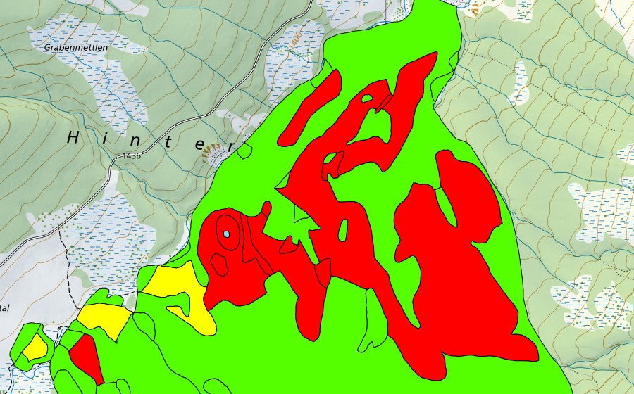 swisstopo national map showing the protected perimeter of Seeliwald (Raised bog)