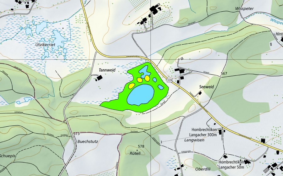 swisstopo national map showing the protected perimeter of Seeweidsee (Raised bog)