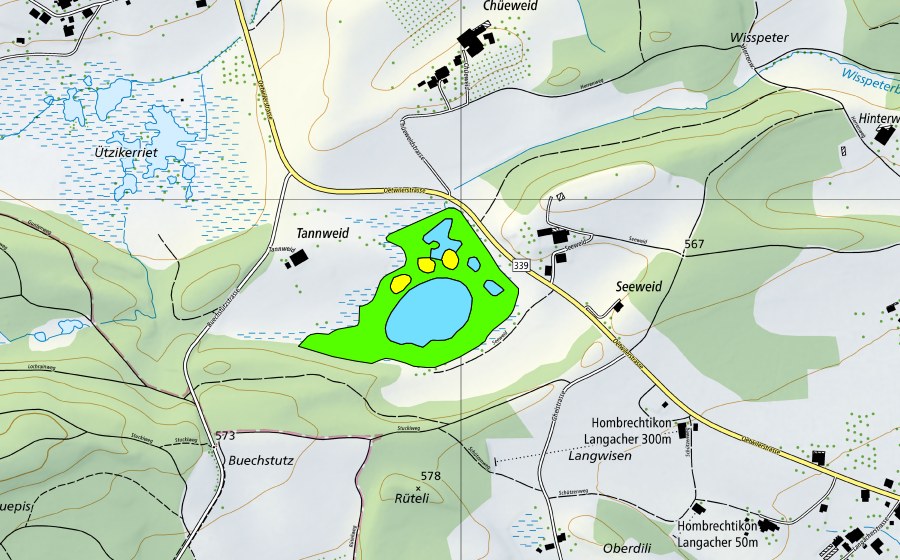 Carte nationale swisstopo avec le périmètre protégé de Seeweidsee (Haut-marais)